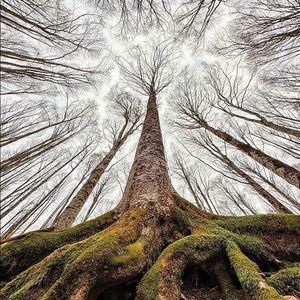 Meet your Posher, Kara